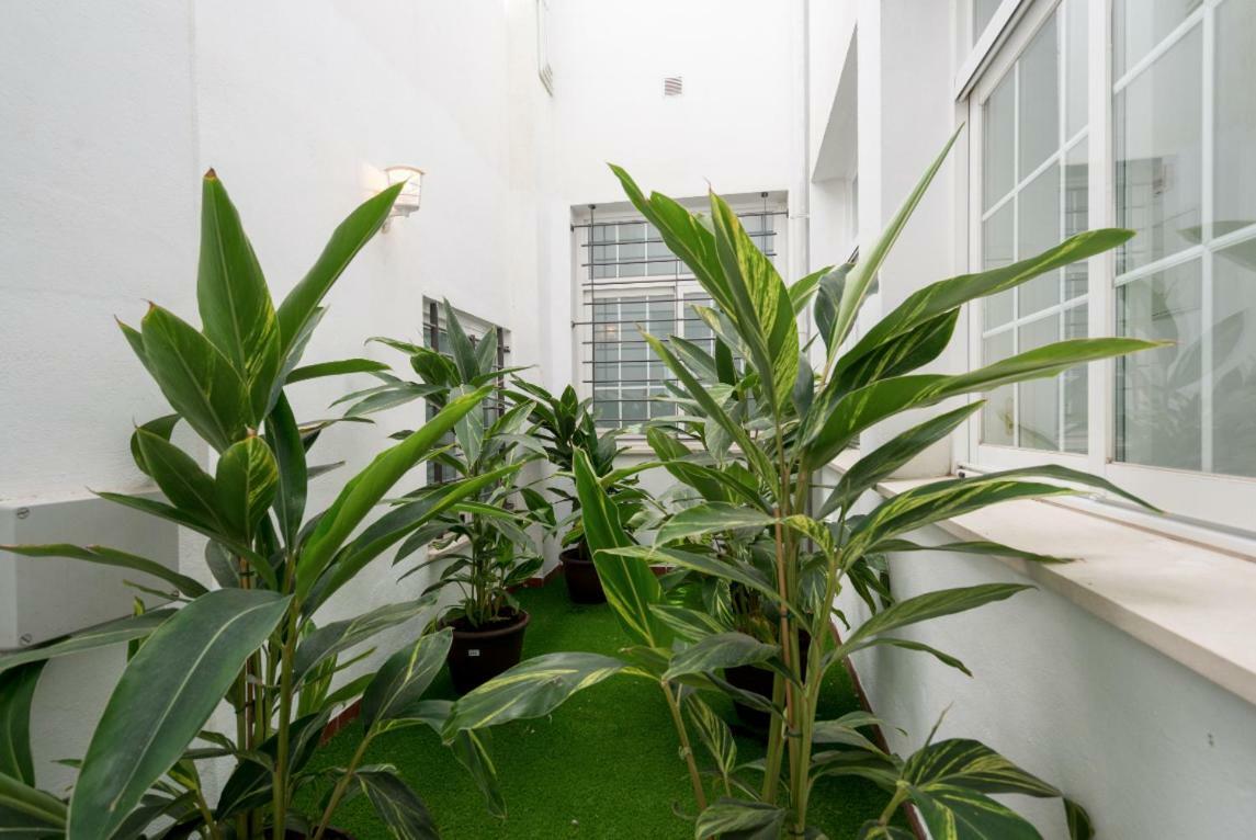 Ml1C-Prime Location Marble Apartment With Patios Málaga Extérieur photo